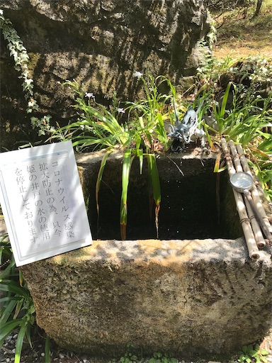 f:id:tmtmz:20210331182912j:image f:id:tmtmz:20210331182912j:image