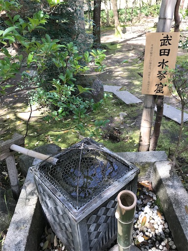 f:id:tmtmz:20210331182956j:image f:id:tmtmz:20210331182956j:image