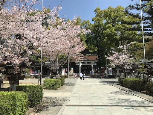 f:id:tmtmz:20210331183053j:image f:id:tmtmz:20210331183053j:image