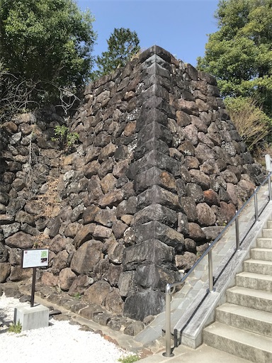 f:id:tmtmz:20210331183055j:image f:id:tmtmz:20210331183055j:image