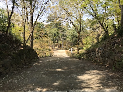 f:id:tmtmz:20210331183117j:image f:id:tmtmz:20210331183117j:image