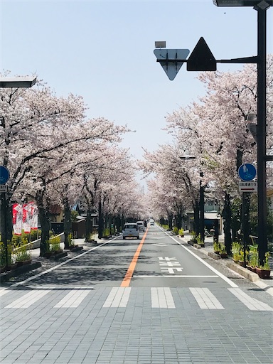 f:id:tmtmz:20210331183202j:image f:id:tmtmz:20210331183202j:image