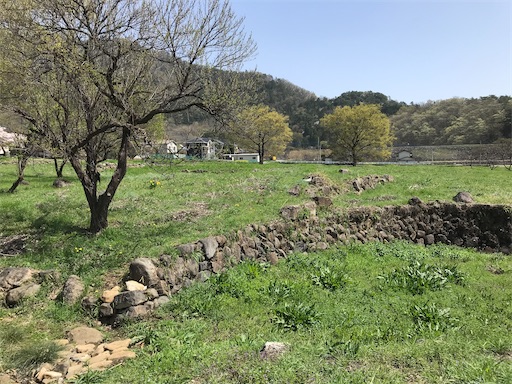 f:id:tmtmz:20210331184709j:image f:id:tmtmz:20210331184709j:image