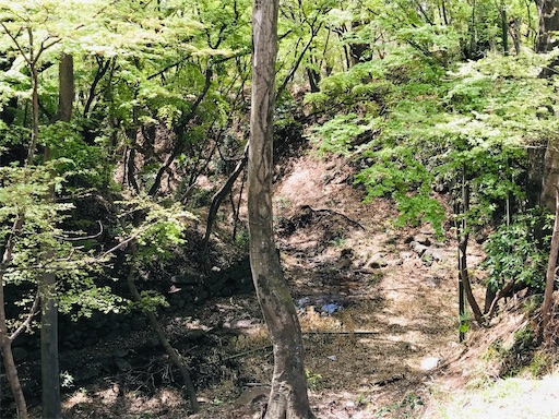 f:id:tmtmz:20210331184712j:image f:id:tmtmz:20210331184712j:image