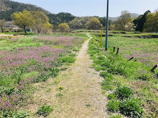 f:id:tmtmz:20210331184842j:image f:id:tmtmz:20210331184842j:image