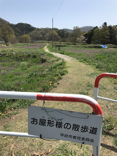 f:id:tmtmz:20210331184933j:image f:id:tmtmz:20210331184933j:image