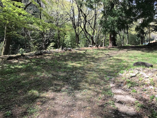 f:id:tmtmz:20210331185009j:image f:id:tmtmz:20210331185009j:image