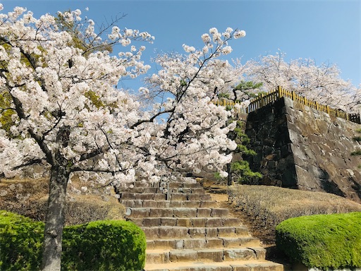 f:id:tmtmz:20210331190651j:image f:id:tmtmz:20210331190651j:image