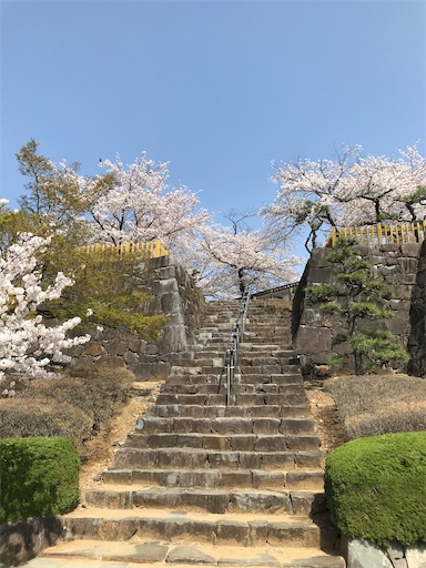 f:id:tmtmz:20210331190718j:image f:id:tmtmz:20210331190718j:image