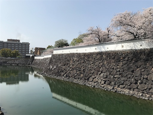 f:id:tmtmz:20210331190806j:image f:id:tmtmz:20210331190806j:image