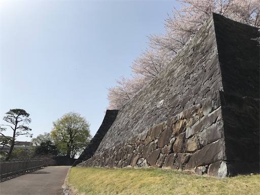 f:id:tmtmz:20210331190818j:image f:id:tmtmz:20210331190818j:image