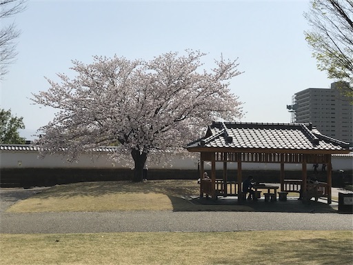 f:id:tmtmz:20210331190907j:image f:id:tmtmz:20210331190907j:image