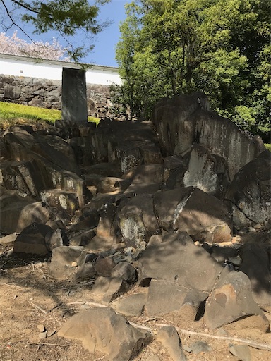 f:id:tmtmz:20210331190952j:image f:id:tmtmz:20210331190952j:image