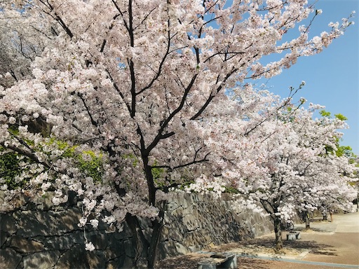 f:id:tmtmz:20210331191028j:image f:id:tmtmz:20210331191028j:image