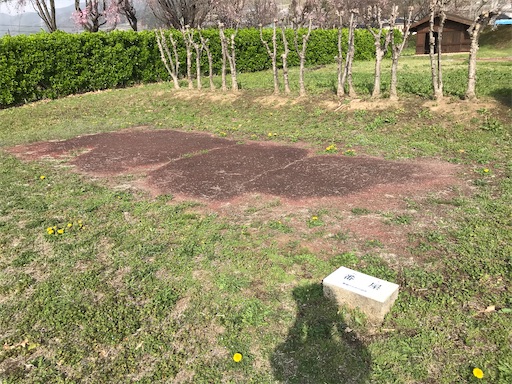 f:id:tmtmz:20210331192642j:image f:id:tmtmz:20210331192642j:image