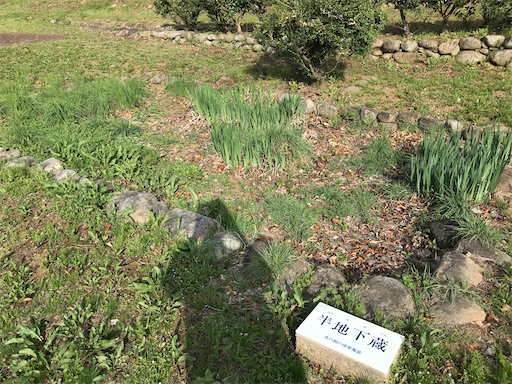 f:id:tmtmz:20210331192723j:image f:id:tmtmz:20210331192723j:image