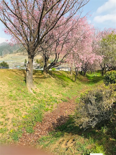 f:id:tmtmz:20210331192731j:image f:id:tmtmz:20210331192731j:image