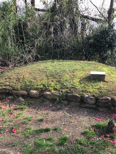 f:id:tmtmz:20210331192734j:image f:id:tmtmz:20210331192734j:image