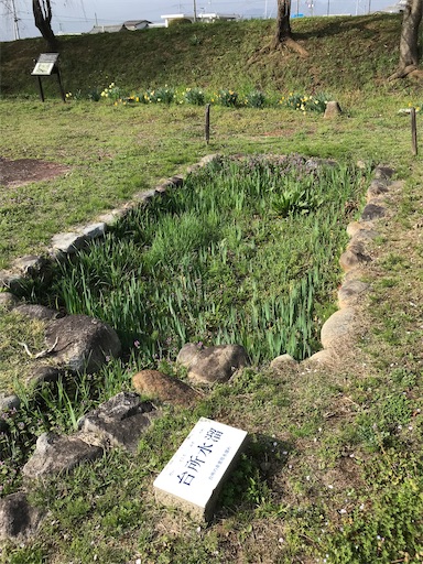 f:id:tmtmz:20210331192829j:image f:id:tmtmz:20210331192829j:image