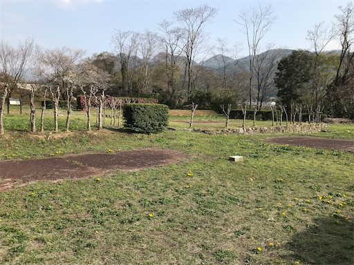 f:id:tmtmz:20210331192921j:image f:id:tmtmz:20210331192921j:image