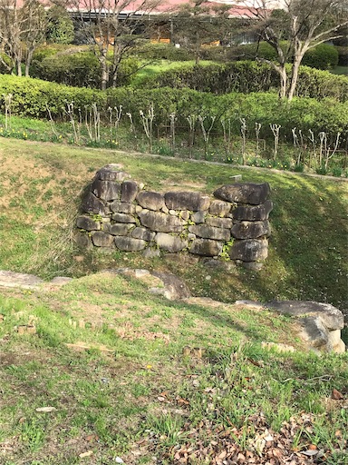 f:id:tmtmz:20210331193126j:image f:id:tmtmz:20210331193126j:image