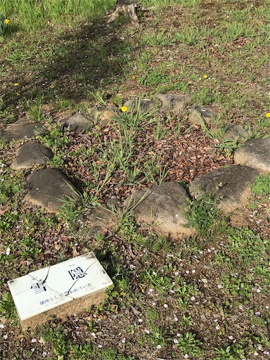 f:id:tmtmz:20210331193241j:image f:id:tmtmz:20210331193241j:image