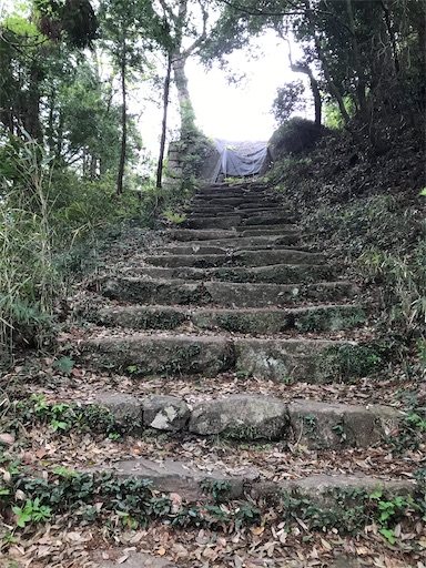 f:id:tmtmz:20210417221429j:image