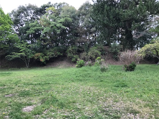 f:id:tmtmz:20210417221455j:image