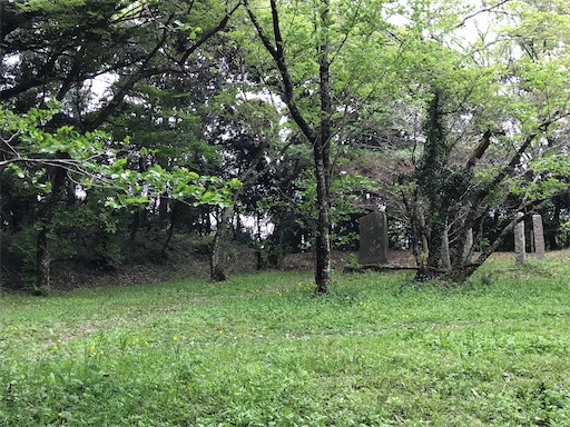 f:id:tmtmz:20210417221507j:image