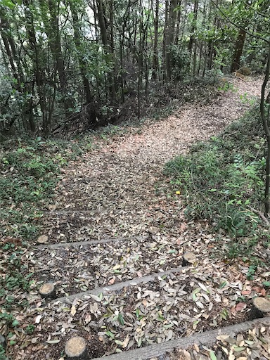 f:id:tmtmz:20210417221603j:image