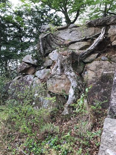 f:id:tmtmz:20210417221614j:image