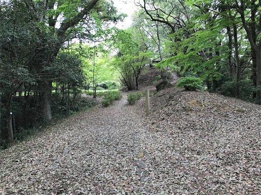 f:id:tmtmz:20210417221708j:image