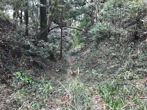 f:id:tmtmz:20210417221736j:image