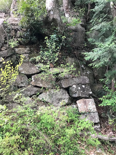 f:id:tmtmz:20210417221836j:image