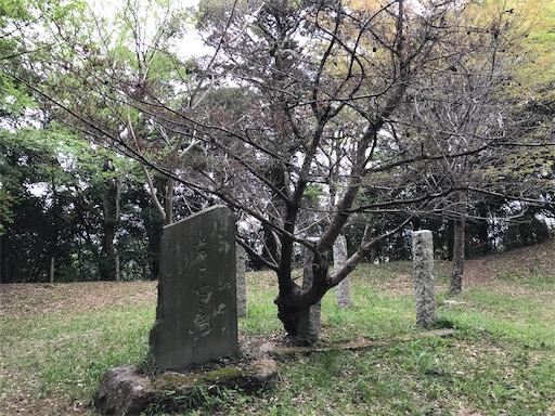 f:id:tmtmz:20210417221840j:image