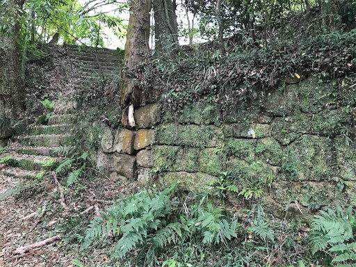 f:id:tmtmz:20210417221847j:image