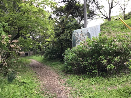 f:id:tmtmz:20210417221905j:image