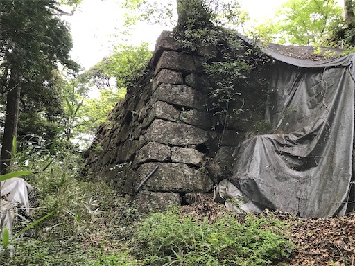 f:id:tmtmz:20210417221911j:image