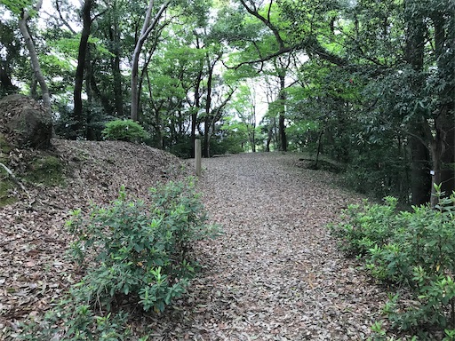 f:id:tmtmz:20210417221925j:image