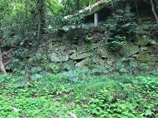 f:id:tmtmz:20210417221931j:image