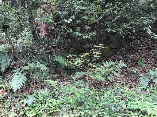 f:id:tmtmz:20210417221948j:image