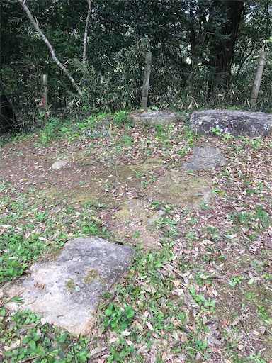 f:id:tmtmz:20210417222005j:image