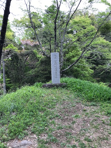 f:id:tmtmz:20210417222058j:image