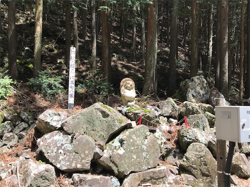 f:id:tmtmz:20210430205146j:image