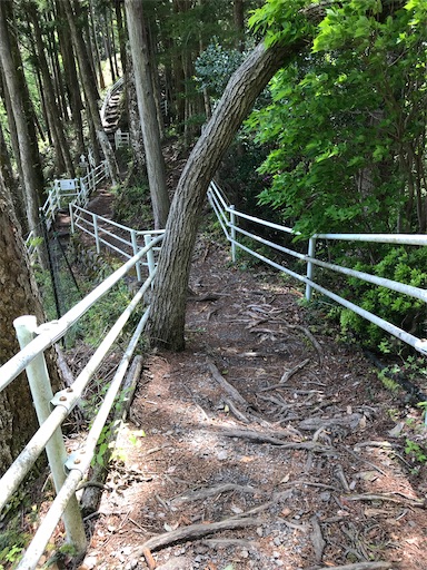 f:id:tmtmz:20210430205218j:image