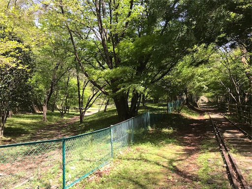 f:id:tmtmz:20210430205846j:image