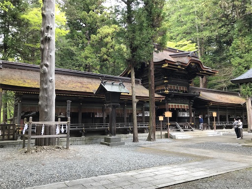 f:id:tmtmz:20210506203809j:image f:id:tmtmz:20210506203809j:image