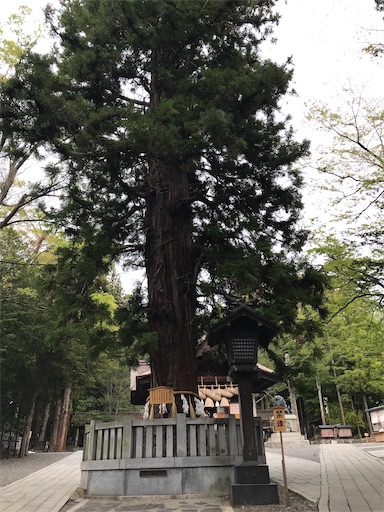 f:id:tmtmz:20210506203937j:image