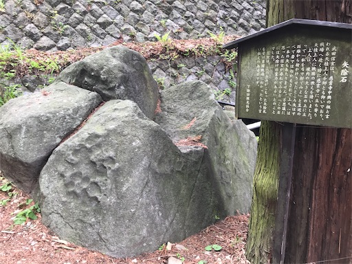 f:id:tmtmz:20210506203947j:image