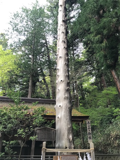 f:id:tmtmz:20210506204008j:image f:id:tmtmz:20210506204008j:image